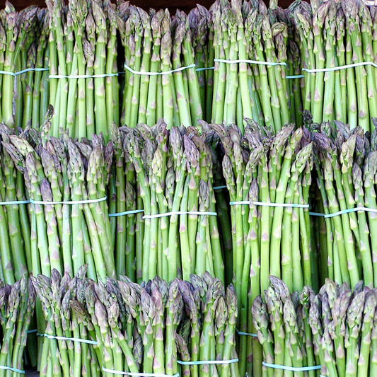 Asparagus 'Mary Washington'-Heart Chakra-Vegetable Seeds