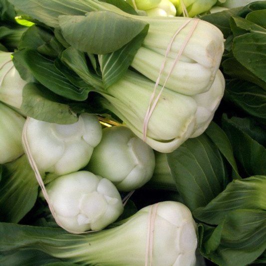 Bok Choy Pak Choy 'White Stem'Edibles-Vegetables-Heart Chakra-200 seeds