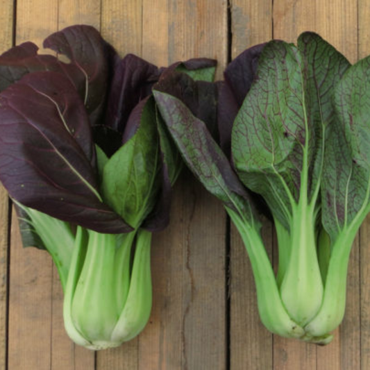 Bok Choy 'Baby Red' F1-200 seeds-Vegetables-Base Chakra