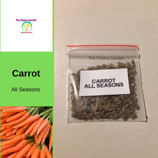 Carrot 'All Seasons' - 500 Seeds - Vegetables - Sacral Chakra The Chakra Garden