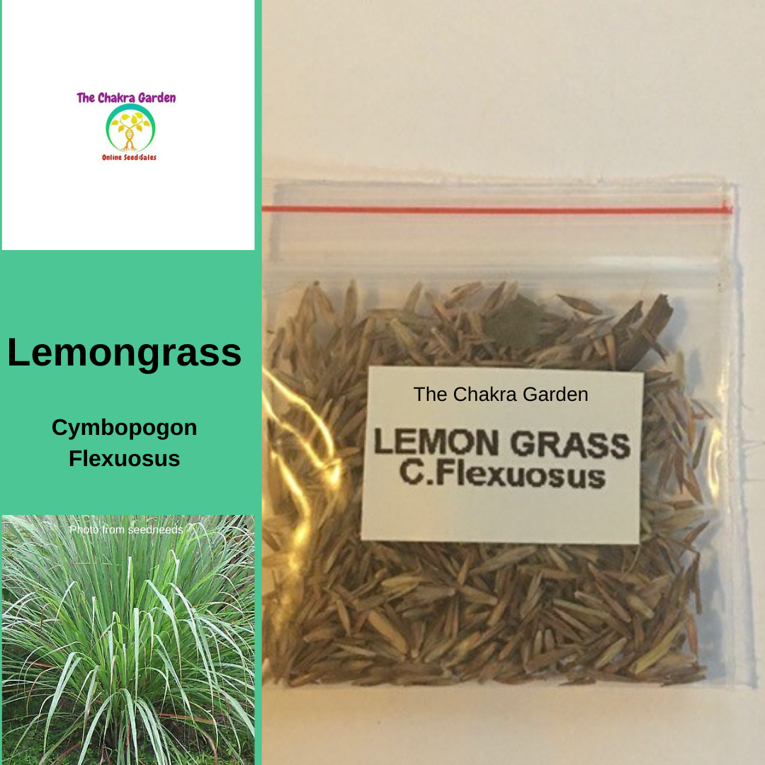 Cymbopogon Flexuosus 'Lemongrass'-Herbs-Throat Chakra-seeds The Chakra Garden