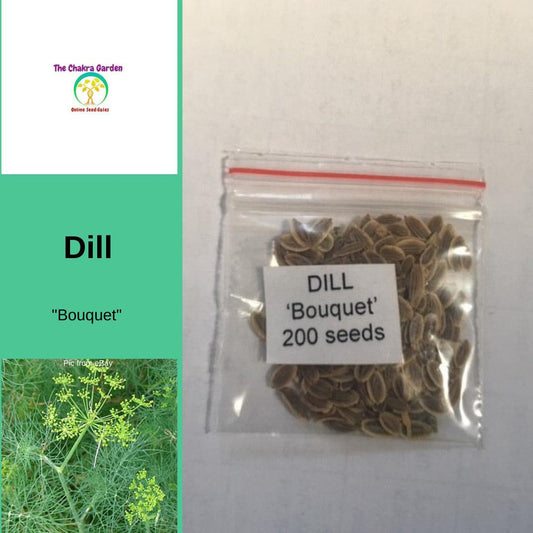 Dill 'Bouquet' - Vegetable - Herbs - 200 Seeds - Solar Plexus Chakra The Chakra Garden