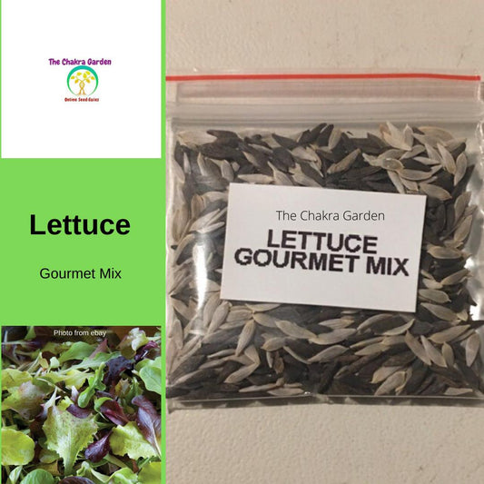 Lettuce 'Gourmet Mix' - Vegetable- 1000+ Seeds - Heart Chakra The Chakra Garden