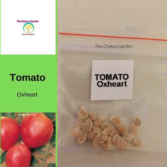 Tomato 'Oxheart’-Vegetable-25 Seeds-Base Chakra The Chakra Garden