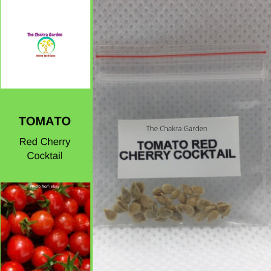 Tomato 'Red Cherry Cocktail'-Vegetable-25 seeds-Base Chakra The Chakra Garden