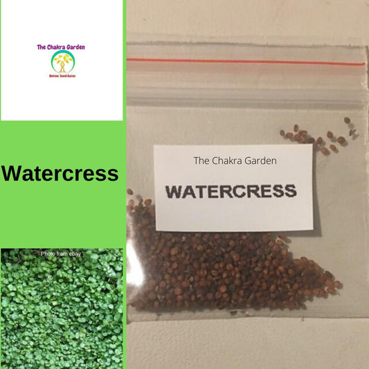 Watercress -500 Seeds - Vegetable Seeds - Heart Chakra The Chakra Garden