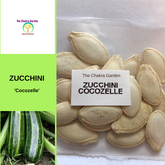 Zucchini 'Cocozelle'-EDIBLES-20 seeds-Heart Chakra The Chakra Garden