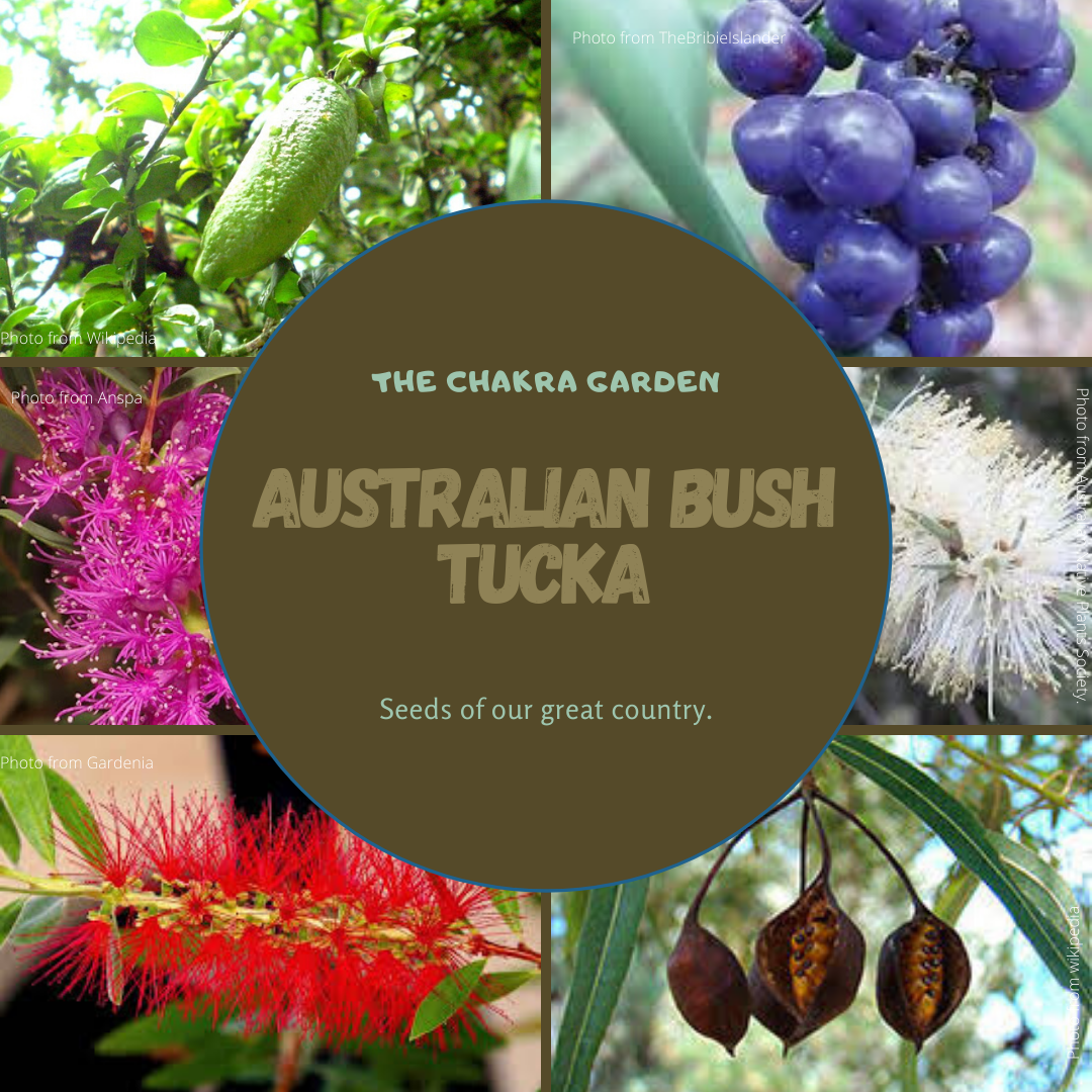 Australian Bush Tucka