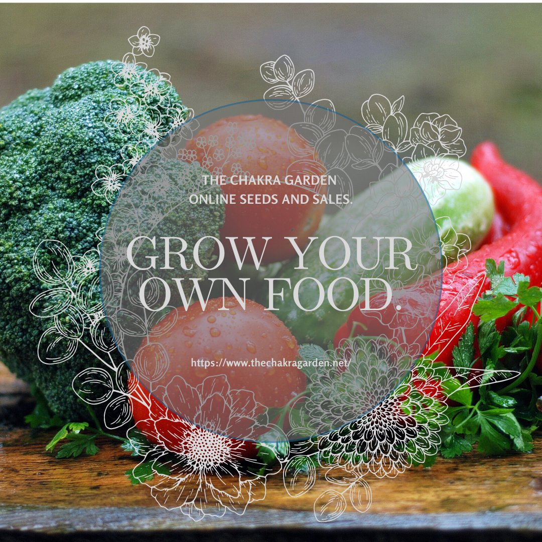 Grow Your Own Food