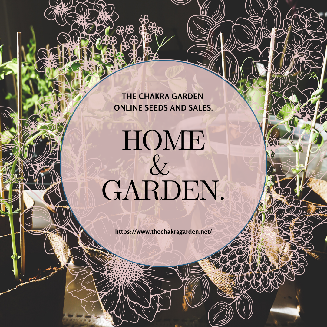 Home & Garden