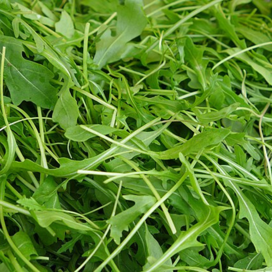 Rocket-Arugula-Herbs-100 Seeds-Heart Chakra