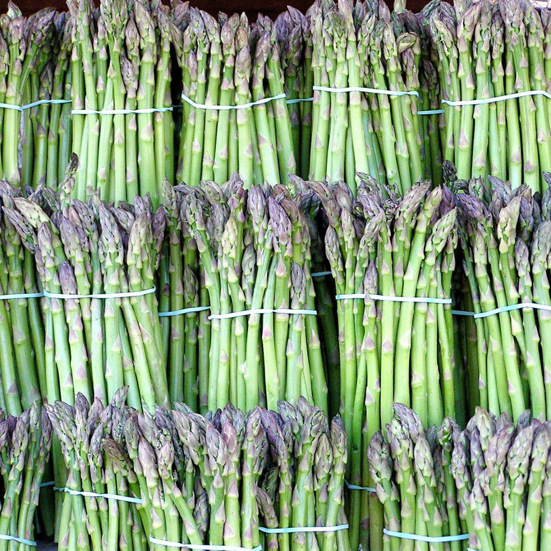 Asparagus 'Mary Washington'-Heart Chakra-Vegetable Seeds