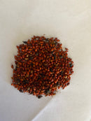 BULK SEEDS-Various species and amounts-within Australia only The Chakra Garden