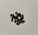 BULK SEEDS-Various species and amounts-within Australia only The Chakra Garden