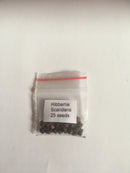 BULK SEEDS-Various species and amounts-within Australia only The Chakra Garden