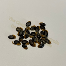 BULK SEEDS-Various species and amounts-within Australia only The Chakra Garden