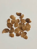 BULK SEEDS-Various species and amounts-within Australia only The Chakra Garden