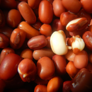 Bean 'Adzuki' 'Red Mung Bean' -Edibles-Base Chakra-Seeds The Chakra Garden