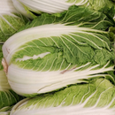 Cabbage ‘Chinese Michihili’ (Wombok) -Vegetable-Heart Chakra-seeds The Chakra Garden