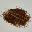 Photo of seeds: - June Parkin; Location: Sydney NSW, Australia; Date: 6OCT2023