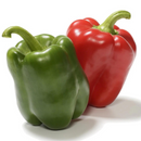 Photo: https://www.livingseedcompany.com/products/organic-california-wonder-sweet-pepper-capsicum-annuum; 16 May 2024 – 2.52pm AEST and edited using Canva.'