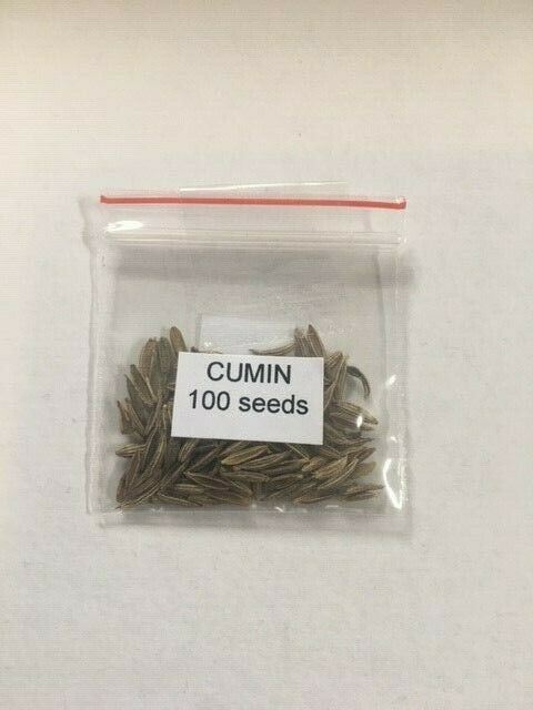 Cumin - HERBS - Solar Plexus Chakra - 100 Seeds