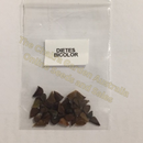 Photo of seeds: - June Parkin; Location: Sydney NSW, Australia; Date: 6OCT2023