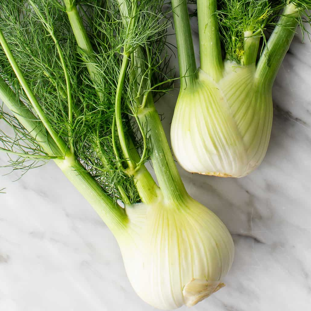 Fennel 'Sweet of Florence' ' Mishreya'-EDIBLES-50 seeds-Heart Chakra