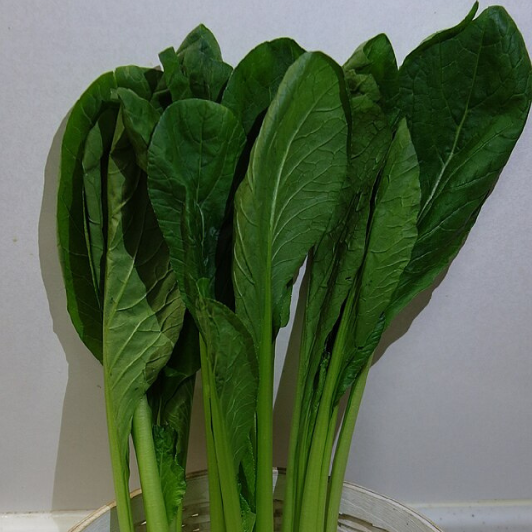 Komatsuna 'Japanese Mustard Spinach'-EDIBLES-200 seeds-Heart Chakra