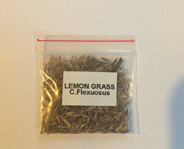 Cymbopogon Flexuosus 'Lemongrass'-Herbs-Throat Chakra-seeds