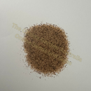 Photo of seeds: - June Parkin; Location: Sydney NSW, Australia; Date: 11FEB2024