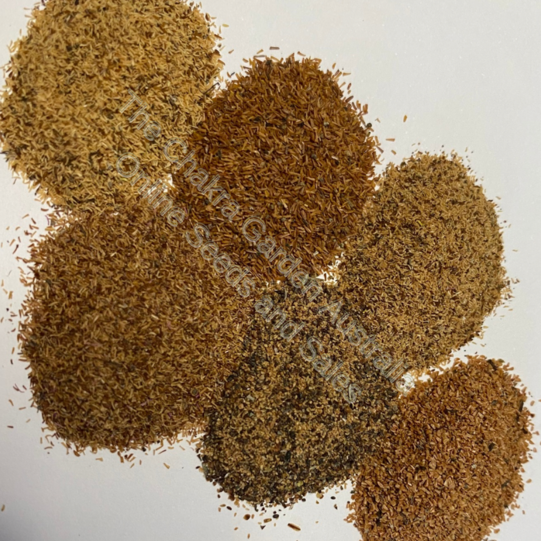 Photo of seeds: - June Parkin; Location: Sydney NSW, Australia; Date: 6OCT2023