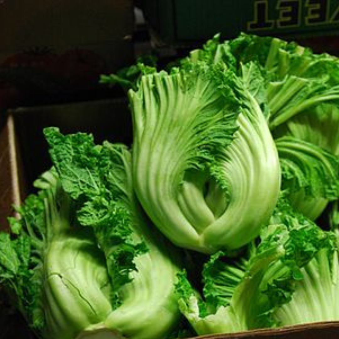 Mustard 'Gai Choi'- 100 seeds-Vegetables-Heart Chakra