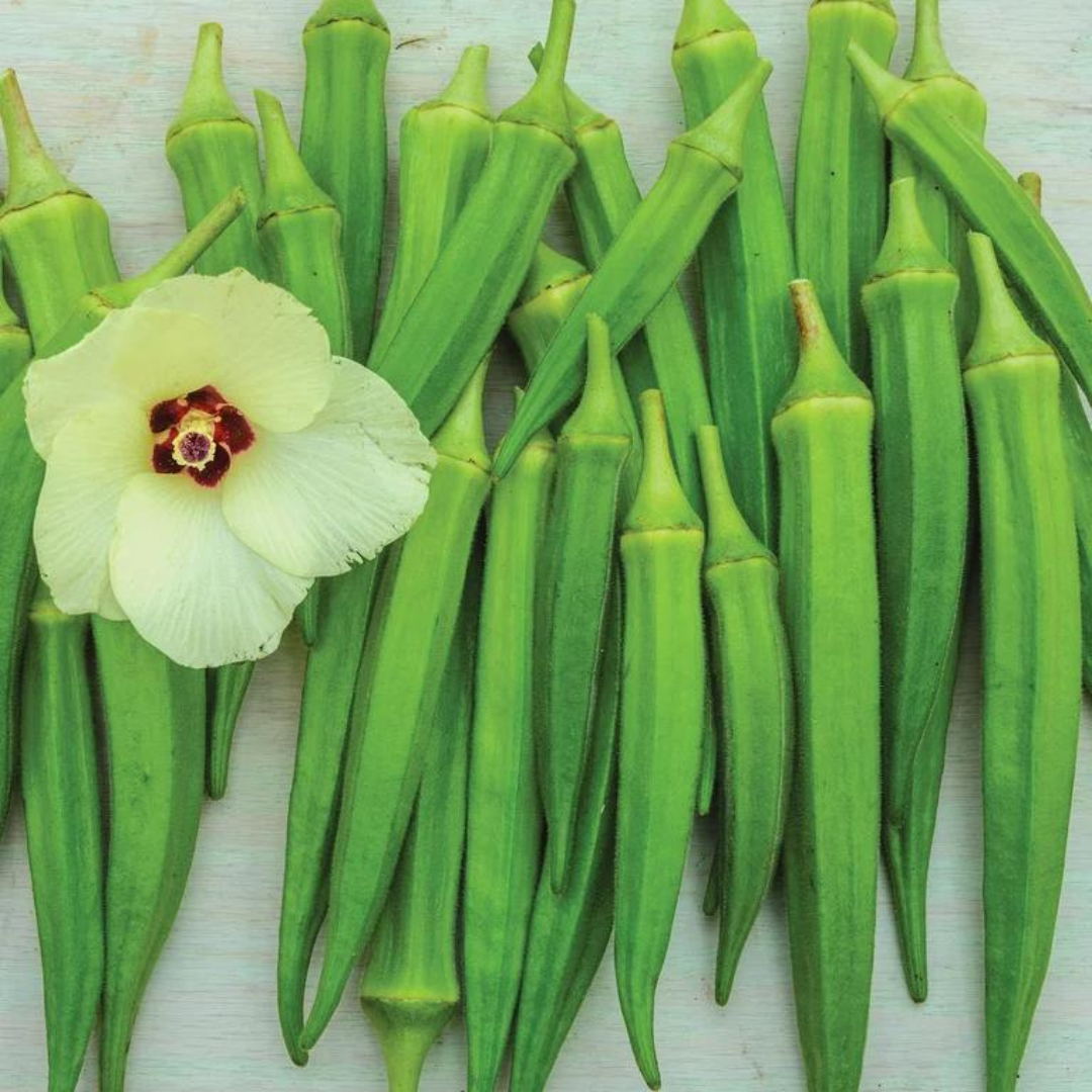 Okra ‘Clemson Spineless’-Vegetable-Seeds