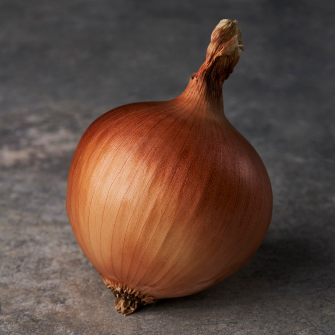 Onion ‘Gladalan Brown’ -Edibles-Vegetable-Crown Chakra-seeds