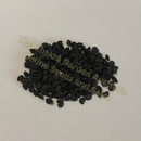 Photo of seeds: - June Parkin; Location: Sydney NSW, Australia; Date: 6OCT2023