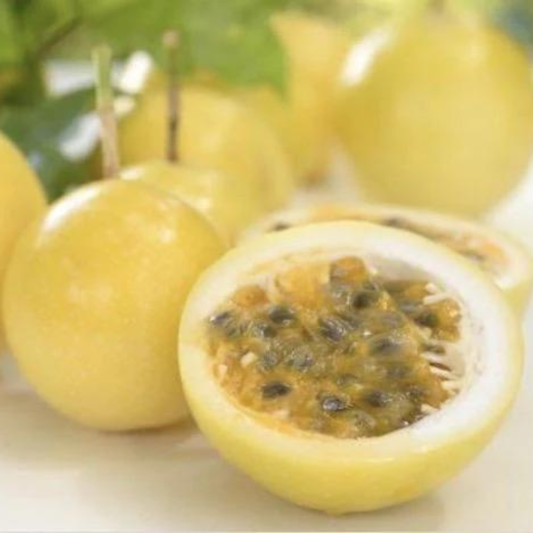 Passiflora (Passionfruit) 'Panama Gold'-'EDIBLES-Solar Plexus-seeds