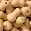 Photo of pumpkin: Credit: mr_lemon - stock.adobe.com; https://www.everwilde.com/store/Waltham-Butternut-Winter-Squash-Seeds.html; retrieved 27May 2024 –4.44pm AEST and edited using Canva.