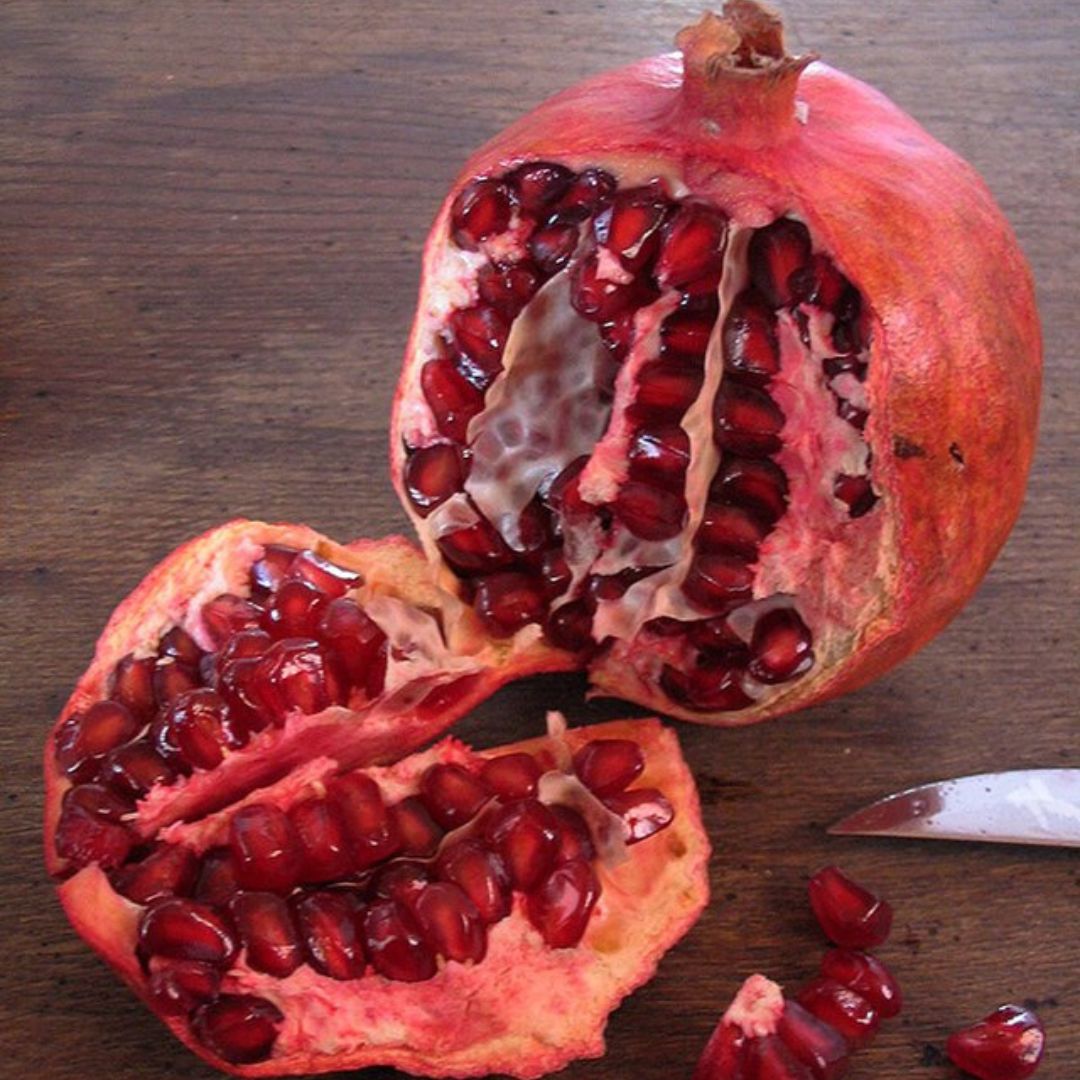 Punica Granatum 'Pomegranite' -Australian-EDIBLES-DISCONTINUED-5 seeds