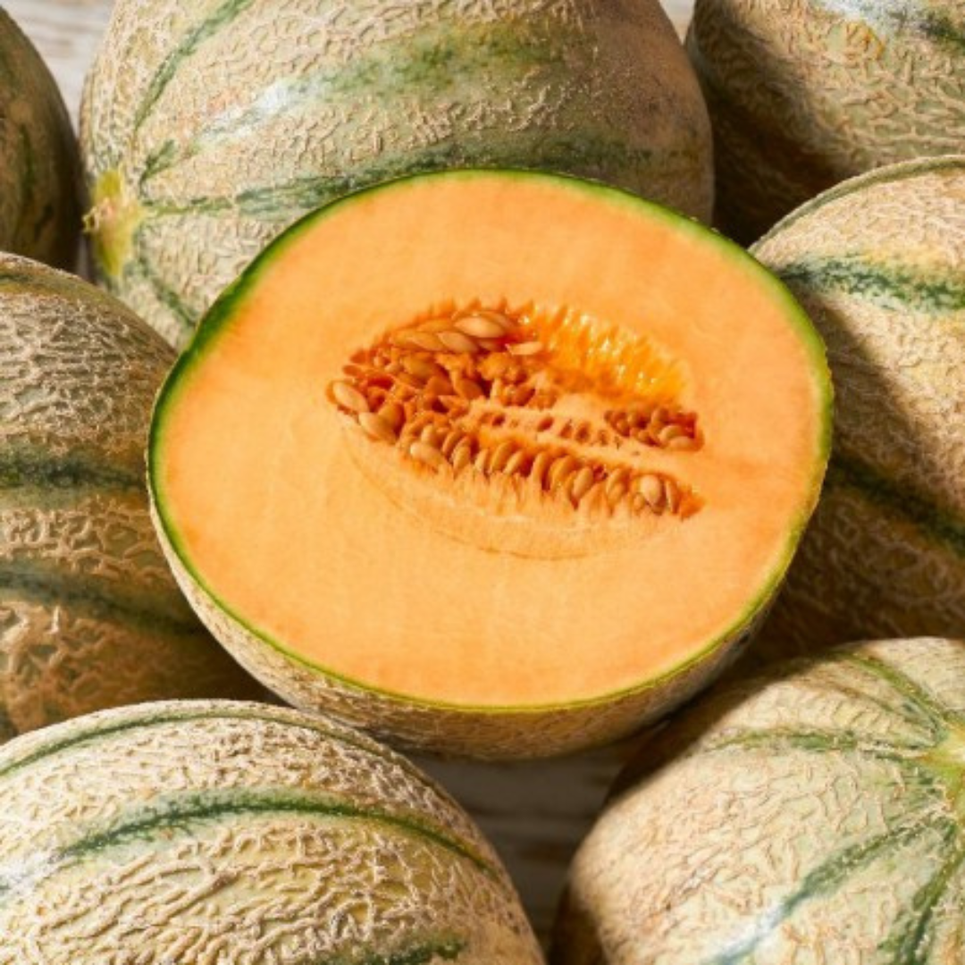 Rockmelon ‘Planters Jumbo’ - 25 Seeds - Fruit Seeds - Sacral Chakra