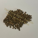 Shiso-Perilla seeds: Photo of seeds: - June Parkin; Location: Sydney NSW, Australia; Date: 6OCT2023