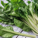 Photo of plant: https://centerofthewebb.myecrater.com/p/38509668/giant-silverbeet-chard-fordhook-organic; retrieved 28May 2024 –1.12pm AEST and edited using Canva.