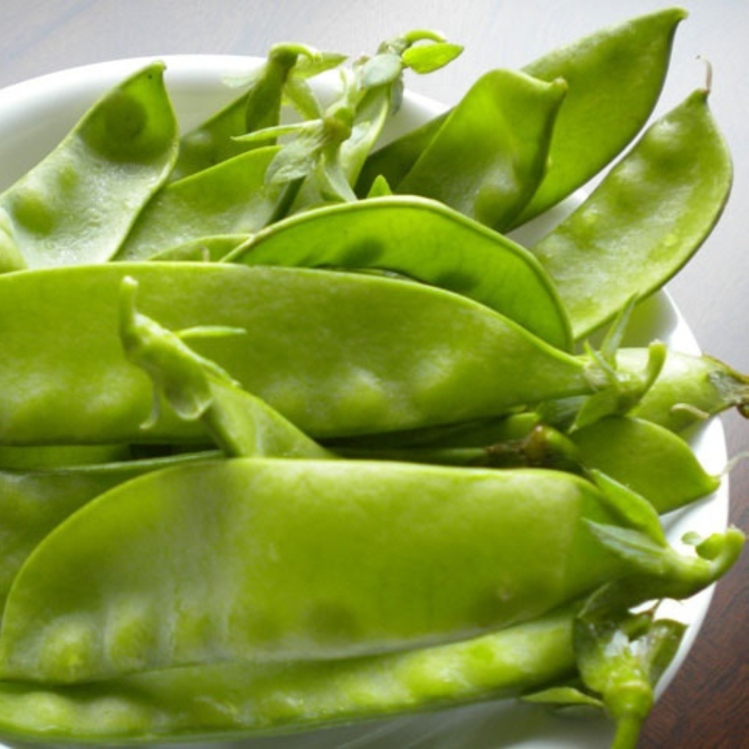 Snow Pea 'Yakumo Giant'-Edibles-Vegetable-Heart Chakra-seeds