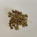 Photo of seeds: - June Parkin; Location: Sydney NSW, Australia; Date: 6OCT2023