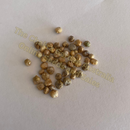 Photo of seeds: - June Parkin; Location: Sydney NSW, Australia; Date: 6OCT2023