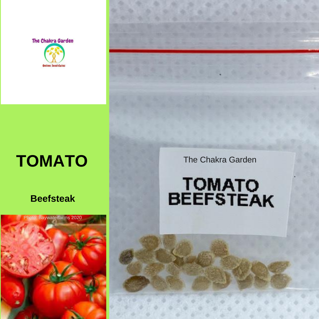 Tomato 'Beefsteak'-EDIBLE-25 seeds-Base Chakra