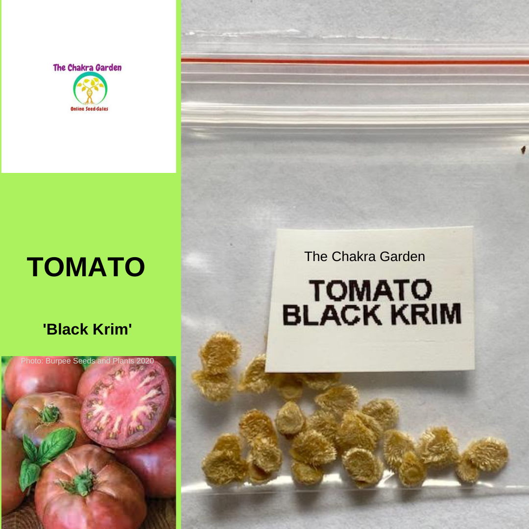 Tomato 'Black Krim'-EDIBLES-25 seeds-Base Chakra