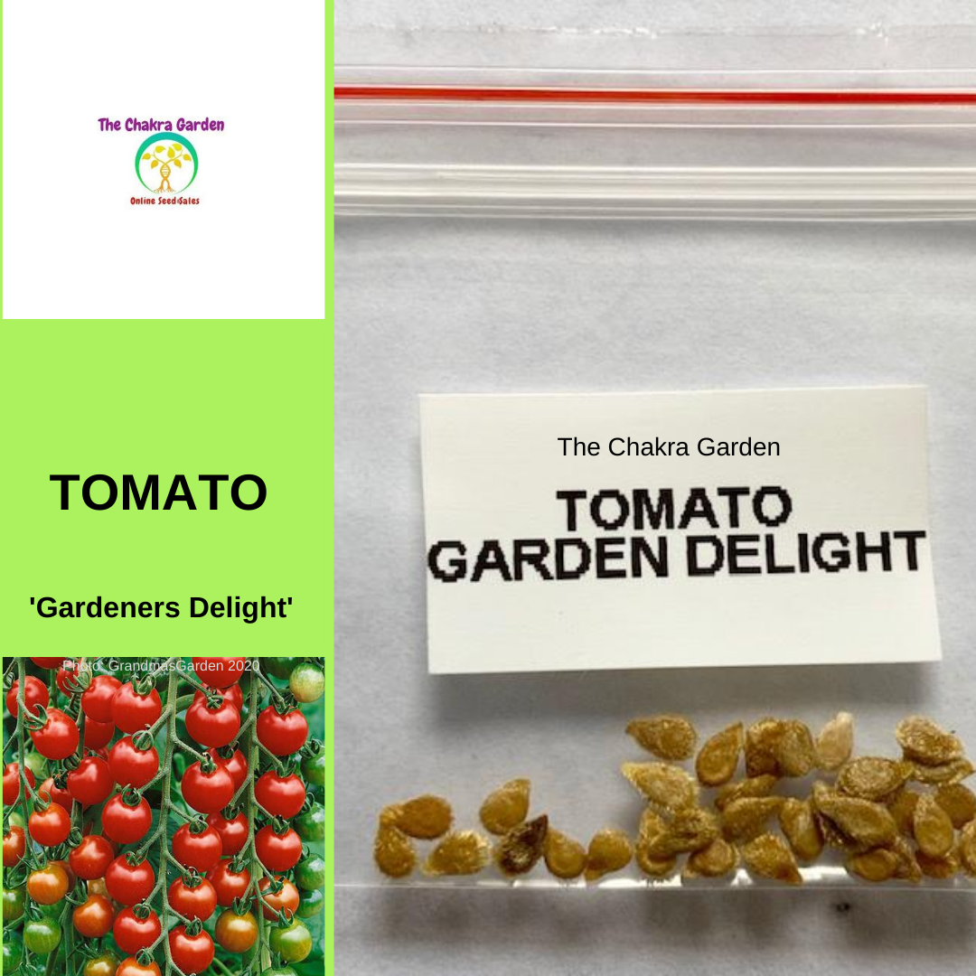 Tomato 'Gardener's Delight'-EDIBLES-25 seeds-Base Chakra