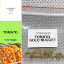 Tomato 'Gold Nugget'-EDIBLES-25 seeds-Solar Plexus Chakra The Chakra Garden