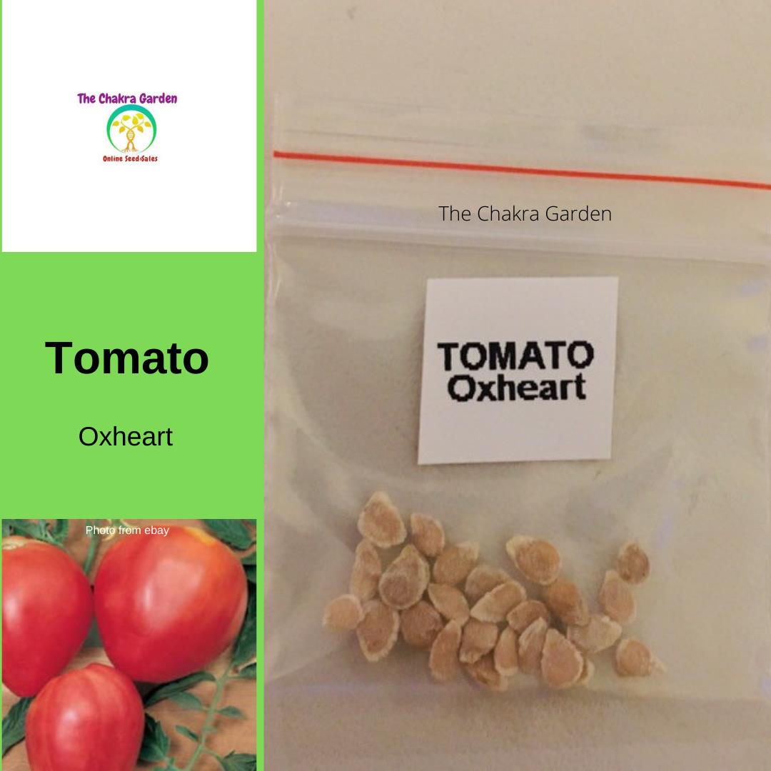 Tomato 'Oxheart’-Vegetable-25 Seeds-Base Chakra